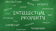 Bulgaria intellectual property rights investigator